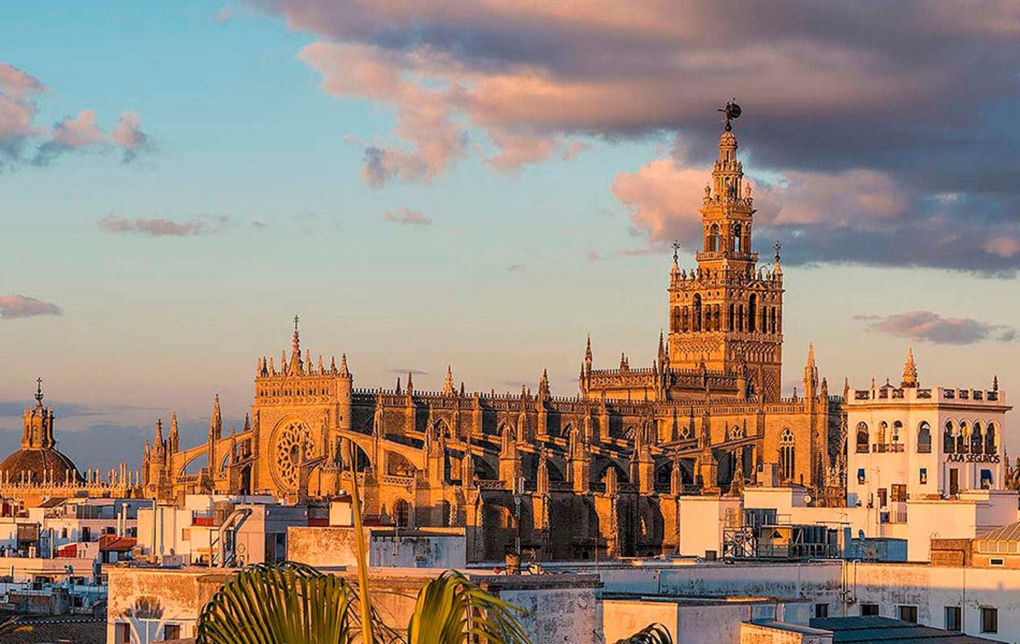Dinner at a Rooftop Restaurant with Views of the Giralda 