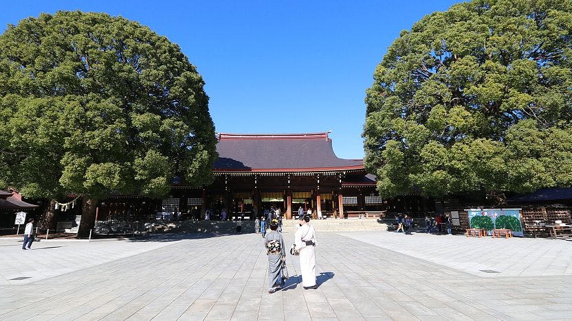 Guided Tour of Meiji Shrine and Harajuku 