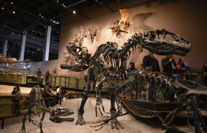 Visit to the Natural History Museum of Utah 
