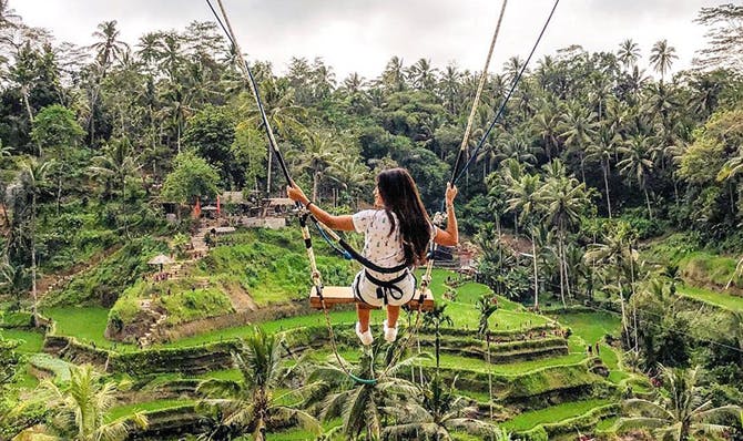 Rice Terraces and Tegalalang Swing Visit 