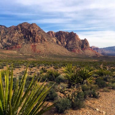 Outdoor Adventure: Red Rock Canyon Tour 